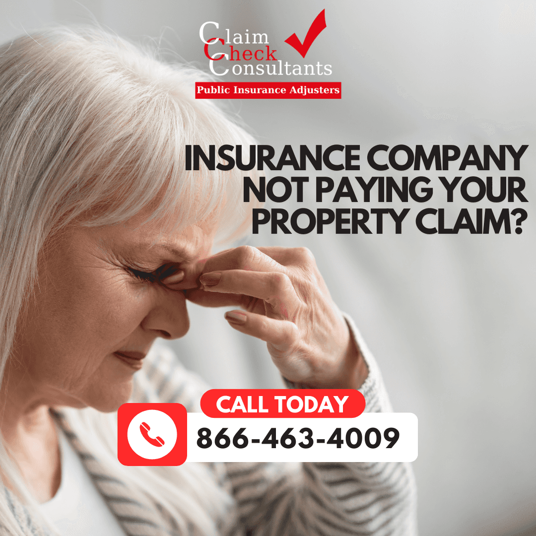 Claim Check Consultants Public Insurance Adjusters photo 4 of 5