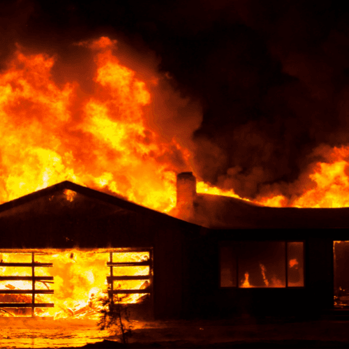 Claims Pro Public Adjusters photo 1 of 5