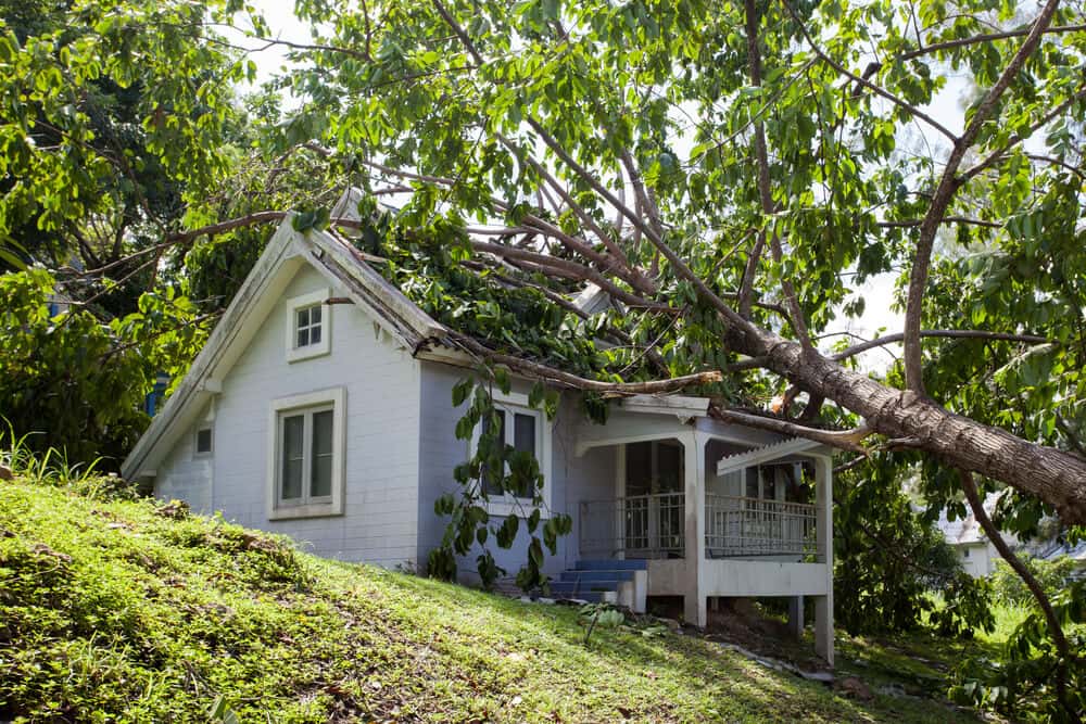ClaimsMate Public Adjusters photo 5 of 5