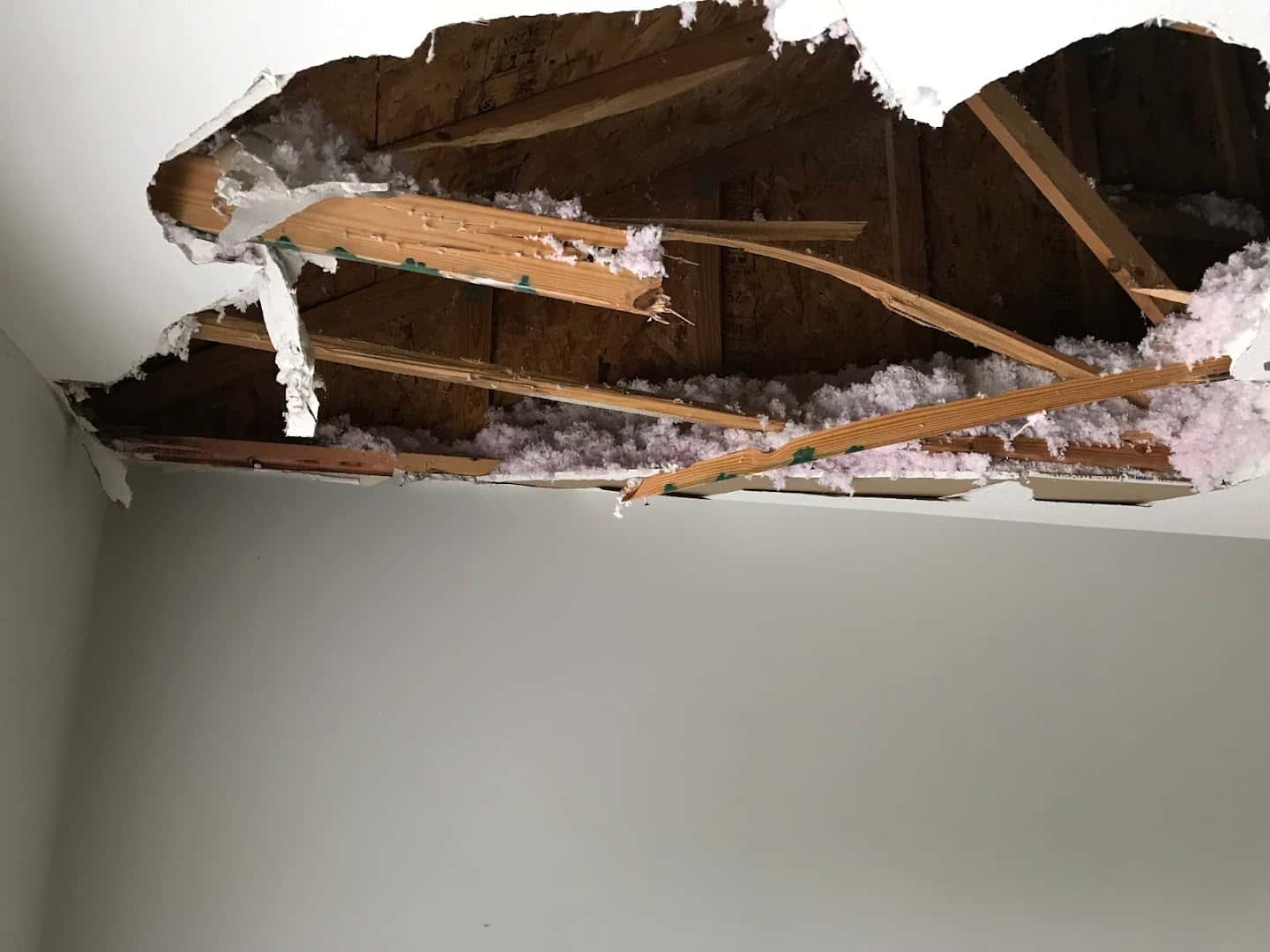 Fat Ox - Public Insurance Adjusters photo 2 of 5