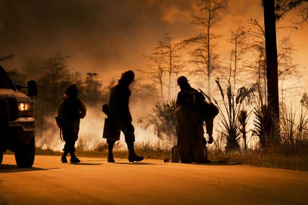 Licensed Public Adjuster in Florida | Claims Advocate Resolution Experts LLC