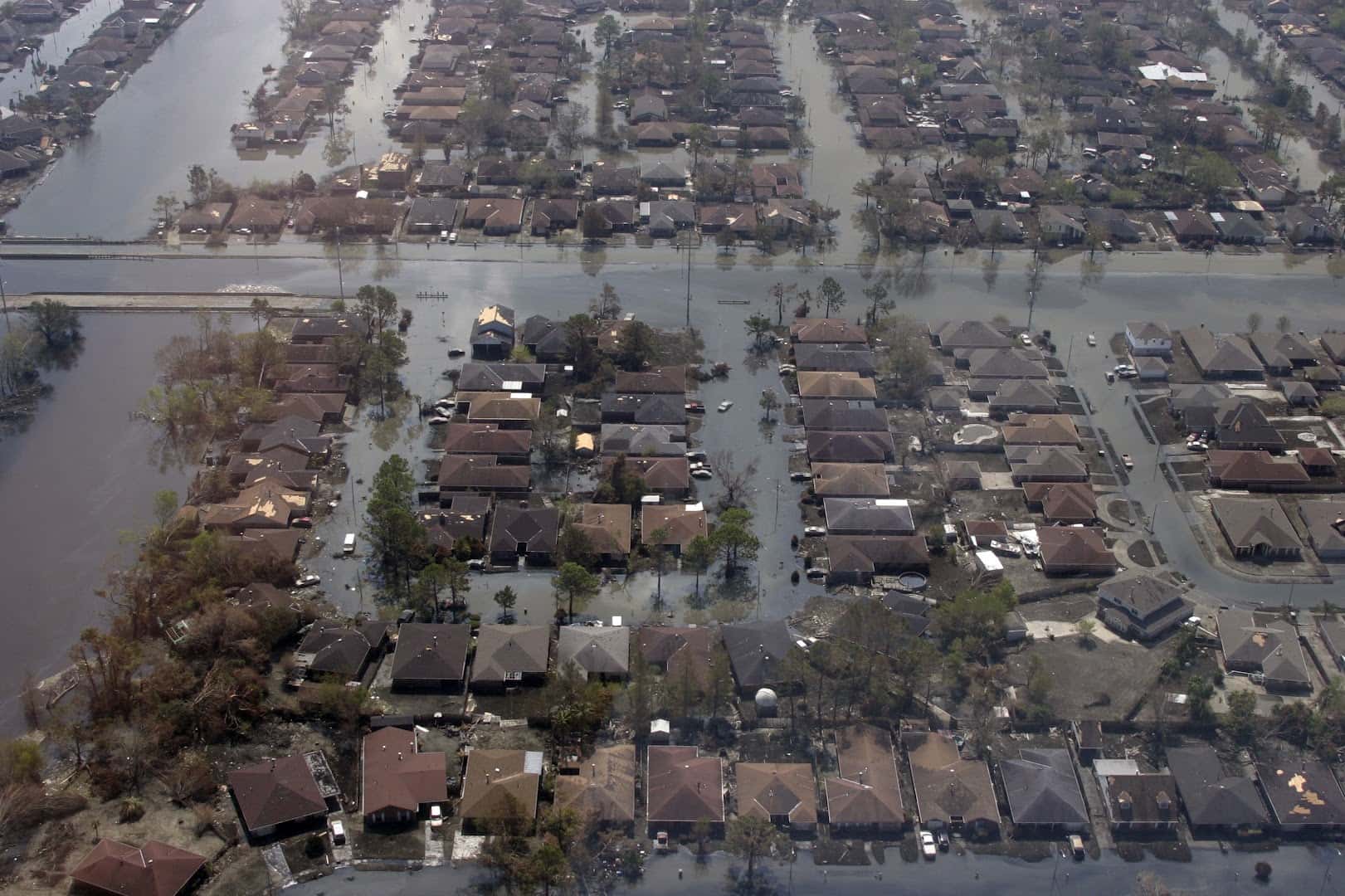 National Public Adjusters & Consultants LLC photo 2 of 3
