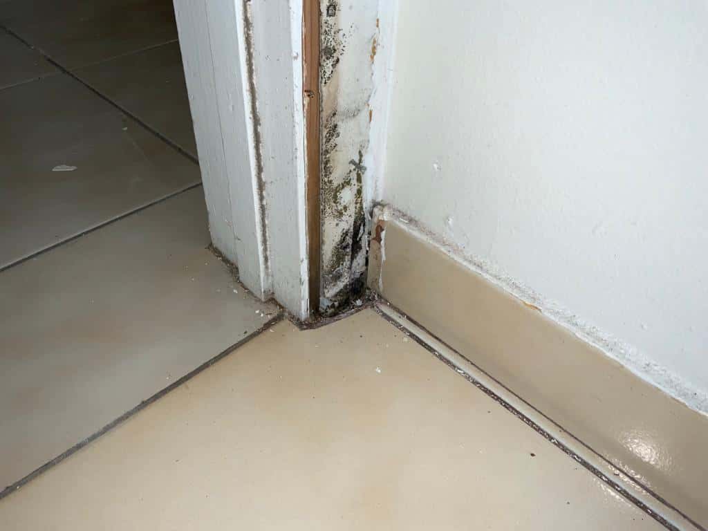 Public Adjuster Andres Pardo By Munra Public Adjuster photo 3 of 5