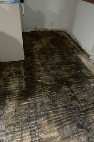 Reliable Insurance Public Adjusters photo 4 of 5
